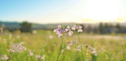 Foto di Spencer Demera su Unsplash