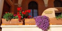 Leggi tutto: Slideshow in home page Civitella