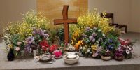 Lire la suite : Slideshow in home page Civitella