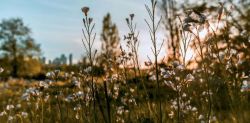 Foto di Dania Shaeeb su Unsplash