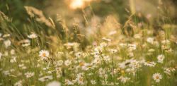 Foto di Andreas Kretschmer su Unsplash
