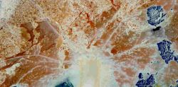 immagine satellitare - Foto di USGS su Unsplash 