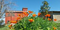 Lire la suite : Slideshow in home page Civitella