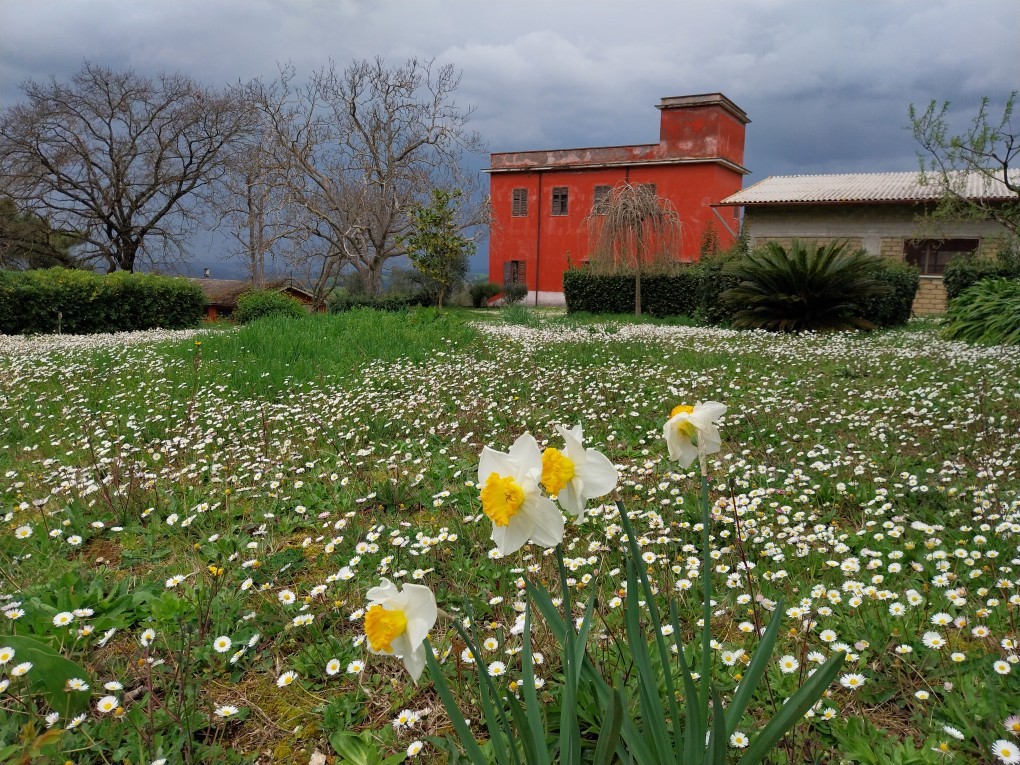 02-fiori_con_san_benedetto